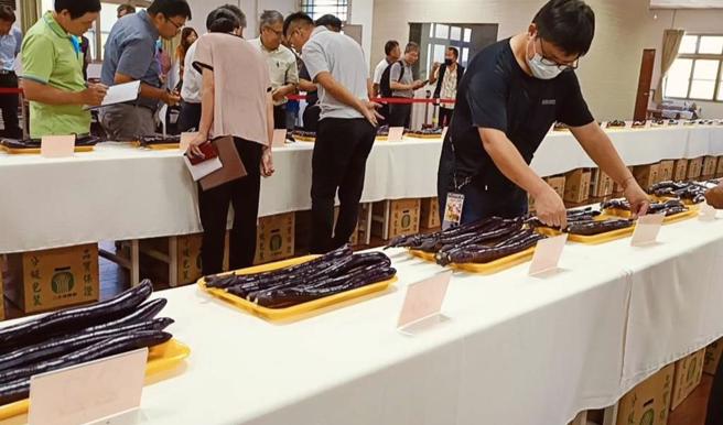 彰化县首届茄子果品评鑑竞赛，今天在二水乡农会举行，邀请7位专家，针对茄子的外观、重量、整齐度、长度、甜度、柔软度等进行评分。（叶静美摄）