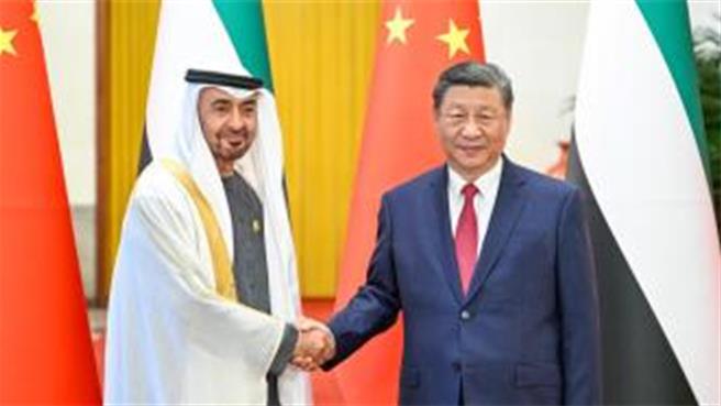 習近平同阿聯總統穆罕默德會談奉行一中政策。（大陸央視）