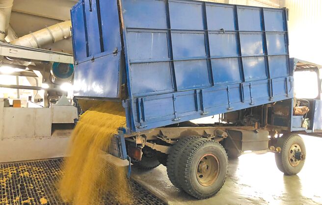 嘉南平原1期稻作进入收穫期，台南市后壁区芳荣碾米厂最近已有农民前来缴售稻谷。（黄丽琴提供／张毓翎台南传真）