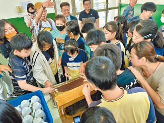 霧峰國小蜜蜂課程 北部師生大開眼界