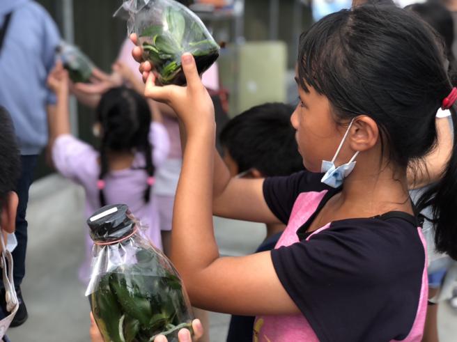 「研帥蘭園自然農場」是蘭花培育場，孩子嘗試手做蘭花盆栽，還能帶回家擺設布置。（圖／嘉義縣文觀局）