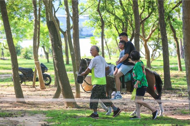 金門是非常適合親子、全家旅遊的好地方，「2024金門親子嘉年華」將推出有別於過往的觀光型態，重視體驗與發掘在地文化魅力的精緻體驗旅遊。（圖／金門縣政府提供）