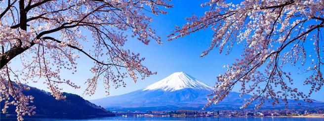 日本櫻花祭帶動赴日旅遊消費成長五成，台灣旅客數居亞洲第二。圖／Visa提供