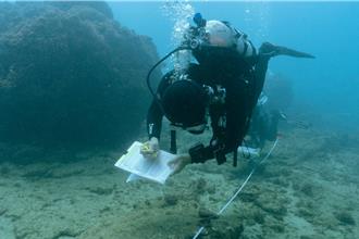 海保署首次携手潜水教练 「珊瑚特潜联盟」认养40处栖地