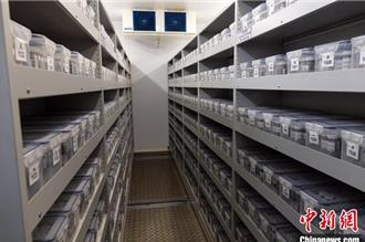 力促生物多樣性　陸「種子銀行」保存逾萬種野生植物種子成亞洲最大