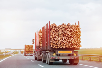 卡車橫載木材變鍘刀 女騎士遭斬首 頭身分離慘死
