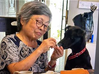 8旬陶藝家阿嬤認養毛寶貝 增加創作靈感展「陶犬相」