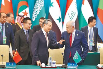 中阿北京宣言 附和一中原則