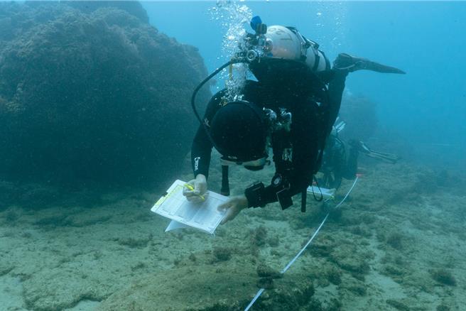 海洋委员会海洋保育署首次集结全台20家潜水业者，于今年成立「珊瑚特潜联盟」，并认养40处珊瑚礁栖地，密切掌握珊瑚健康状况。（海保署提供／林雅惠高雄传真）