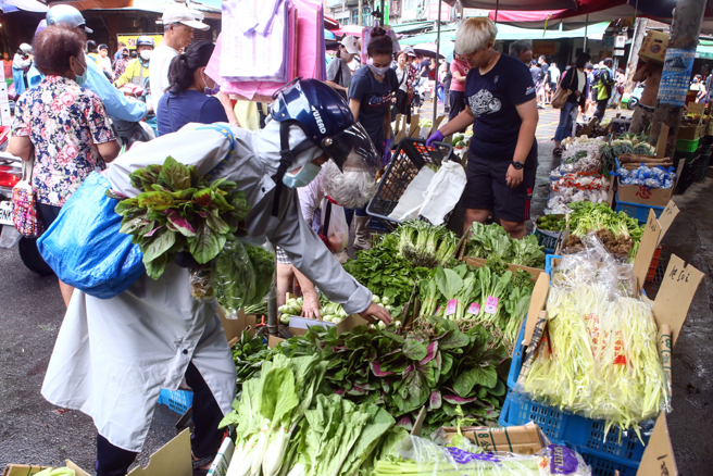 农粮署表示，叶菜类买回家不要直接整把冰进冰箱，应先整理挑掉黄叶或腐叶、用厨房纸巾包起来吸收水分、装进塑胶袋留点缝隙并打结、最后直立或斜放在冰箱。（资料照片）