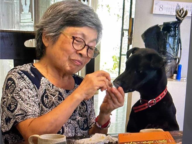 陶犬阿嬷吕淑珍细心教导乐乐养成良好居家生活习惯。（动保处提供）