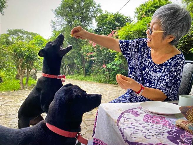 有乐乐和美媚的陪伴，增添很多生活情趣。（动保处提供）