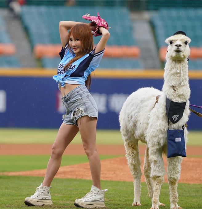 王宥忻今帶羊駝麥可現身球場為比賽開球。（固力狗提供）