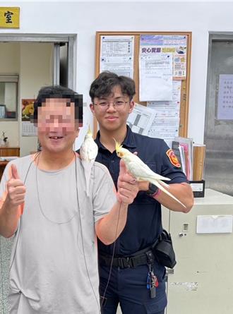 小鸚鵡不慎飛失主人淚崩 派出所助團圓