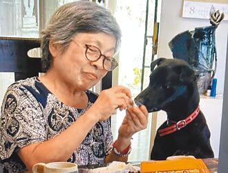 8旬「陶犬阿嬤」認養毛孩 湧創作靈感