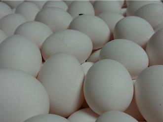 彰化2牧場雞蛋驗出藥物殘留遭罰 4月複檢合格