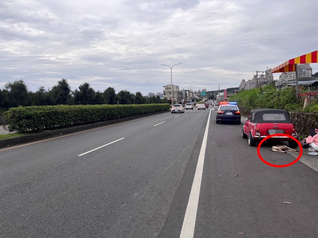 三芝一名28岁的朱姓女骑士，骑乘时撞到流浪狗，自摔送医命危。（翻摄画面）