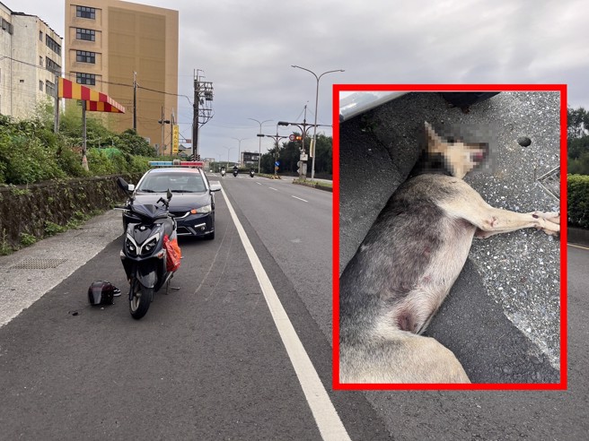 三芝一名28岁的朱姓女骑士，骑乘时撞到流浪狗，自摔送医命危。（翻摄画面）