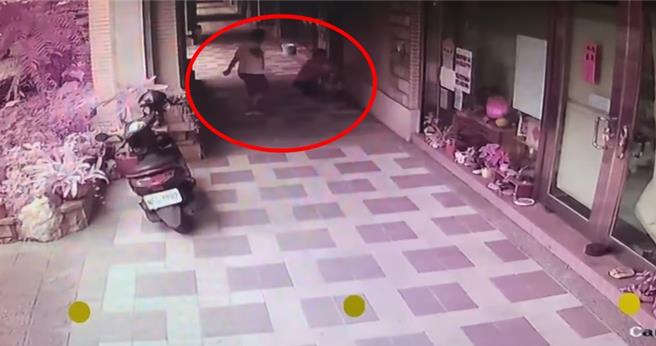 王姓婦人日前傍晚於新店區民溪園路牽繩遛狗，突遭1名陌生男子揮拳攻擊。（翻攝臉書社團）