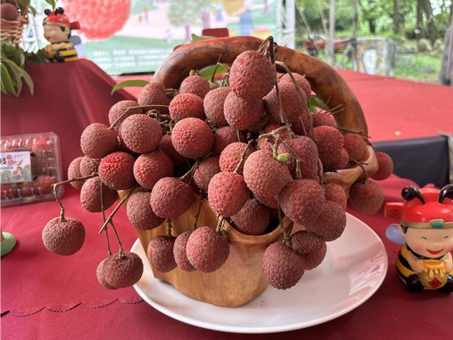 台中市太平區荔枝栽種面積達611公頃，因氣候異常，2024年產量較之2023年銳減9成，售價也從去年3斤100元飆到1斤120元，足足漲了3.6倍。（馮惠宜攝）
