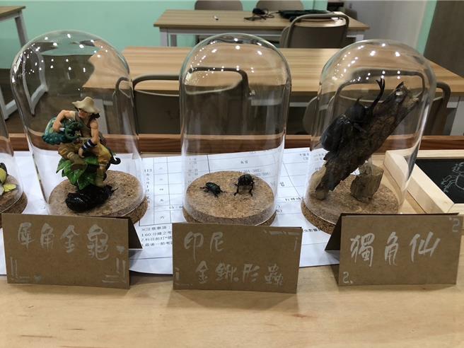 陳麒伍透過創作的詩詞、昆蟲標本，將自己對生命的熱愛，傳達給每個人。（陳麒伍提供／楊靜茹南投傳真）
