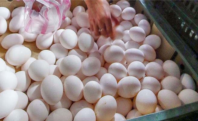 台北市蛋商公會4日宣布，蛋價再將2元，也就是原本32.5元的產地價調為30.5元，42元的批發價從本周四起降為40元，蛋價已是2年來新低。（本報資料照片）