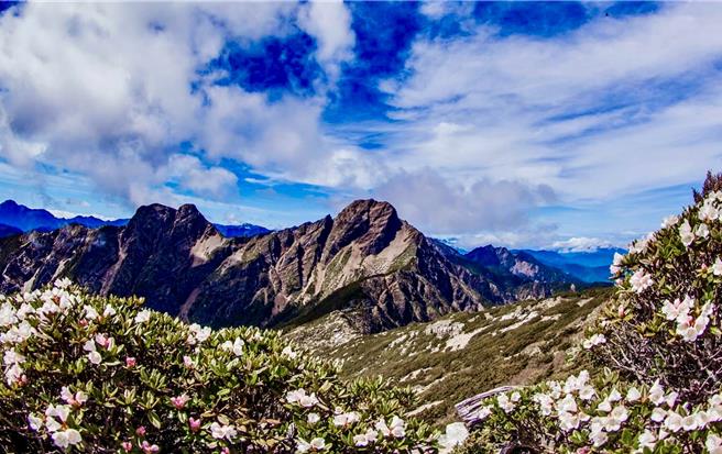 许多网友大讚台湾山景真的很漂亮，吸引不少国际游客前来登山，图为玉山。（玉山国家公园提供）