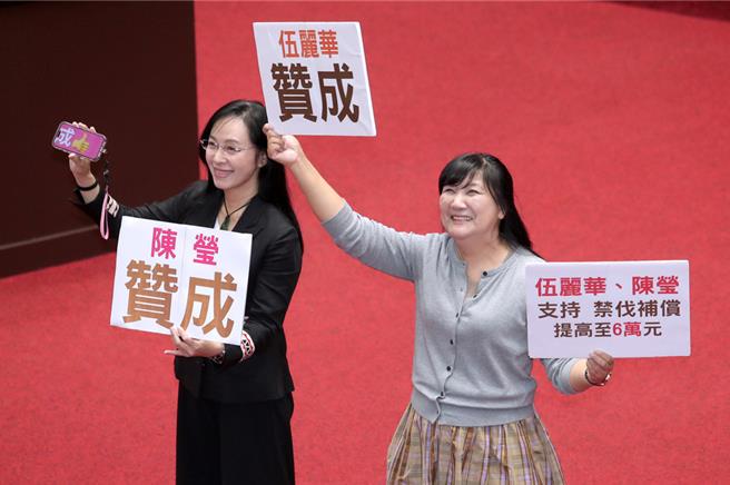 立法院院会4日三读通过《原住民保留地禁伐补偿条例》第6条条文修正草案，每公顷补偿费用从原本的3万元调涨为6万元，民进党原住民立委陈莹（左）、伍丽华（右）与民进党团的反对立场相左，两人在中午休息时间举牌合照。（黄世麒摄）