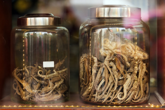 海馬泡藥酒10年沒爛 她質疑「是塑膠」專家查看大逆轉