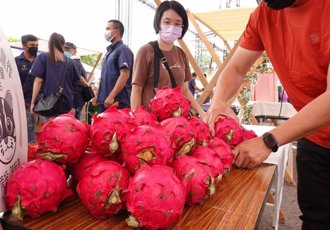 8年努力有成！ 紅肉紅龍果即日起可外銷日本