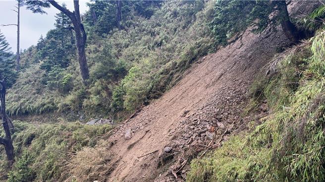 玉山主峰步道4.9公里在白木林廁所上方坍方，崩落土石覆蓋玉山主峰步道約20公尺，玉管處緊急宣布玉山主峰線暫時停止入園。（玉山國家公園提供／楊靜茹南投傳真）