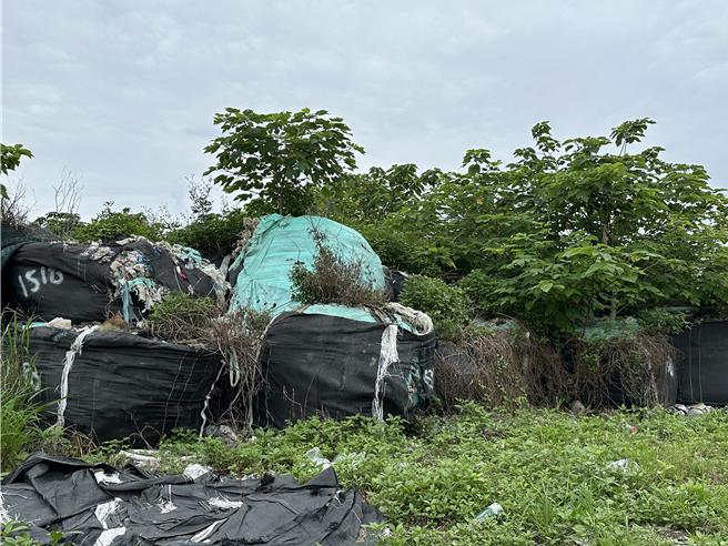 台東建農掩埋場垃圾堆積如山。（蔡旻妤攝）