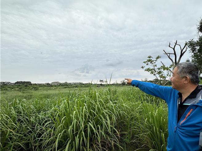 台東建農掩埋場垃圾堆積如山。（蔡旻妤攝）