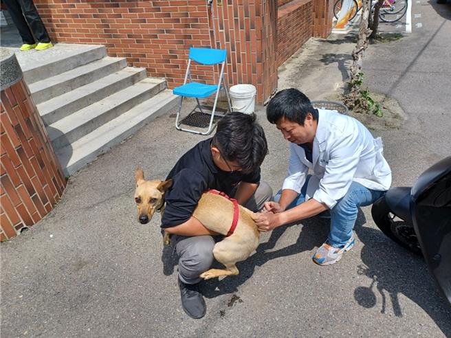 为加强犬猫狂犬病疫苗注射，台中市动物保护防疫处试办「揪团」到府施打服务。（台中市府提供／陈淑娥台中传真）