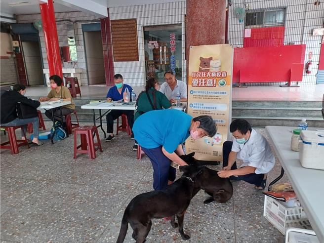 为加强犬猫狂犬病疫苗注射，台中市动物保护防疫处试办「揪团」到府施打服务。（台中市府提供／陈淑娥台中传真）
