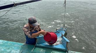 世界海洋日前夕 台塑攜手區漁會放流44萬尾魚苗