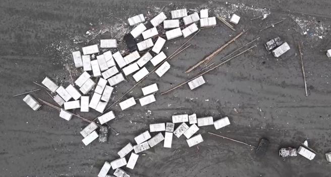 台南市南區四鯤鯓又見「6月雪」，每年這個時候海岸線都上演發泡塑膠災難。（晁瑞光提供／曹婷婷台南傳真）