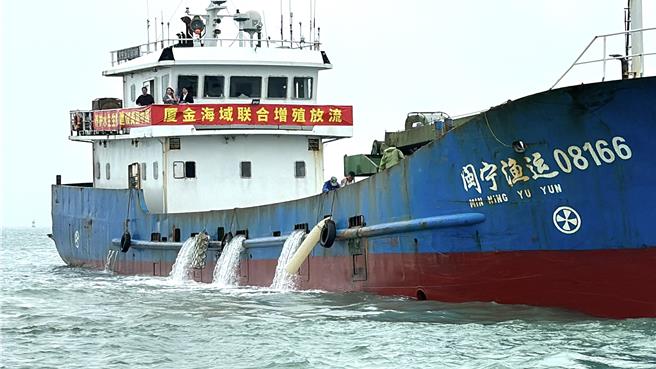 陸方本次放流有「海中黃金」之稱的黃魚多達500萬尾，由於數量龐大，直接由船艙放流如同「魚瀑布」宣洩而下。(于家麒攝)