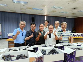 2年1次彰化县露天葡萄评鑑登场 大村乡留下冠军奖座