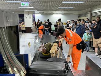 落實「無毒家園」阻毒於境外 「黑白雙煞」緝毒犬進駐金門機場