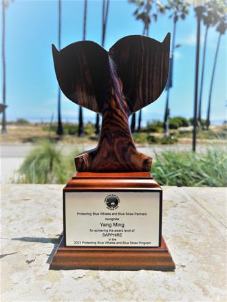 阳明海运守护生物多样性 船舶减速、珊瑚復育行动与海洋共生共荣