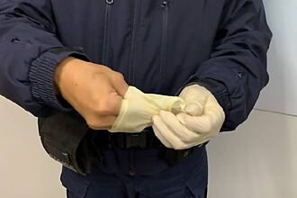 手套需求復甦 南帝5月豐收