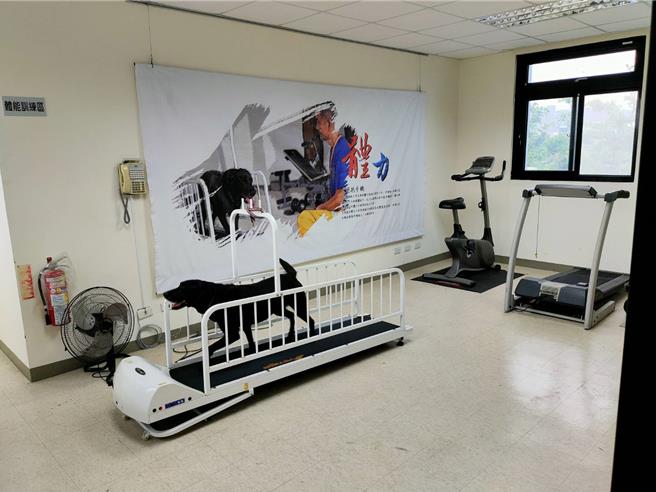 基隆市消防局表示，為提升救災效率及救災整體量能，將成立專業搜救犬隊。圖為消防局參訪其他縣市搜救犬設施。（基隆市消防局提供／徐佑昇基隆傳真）