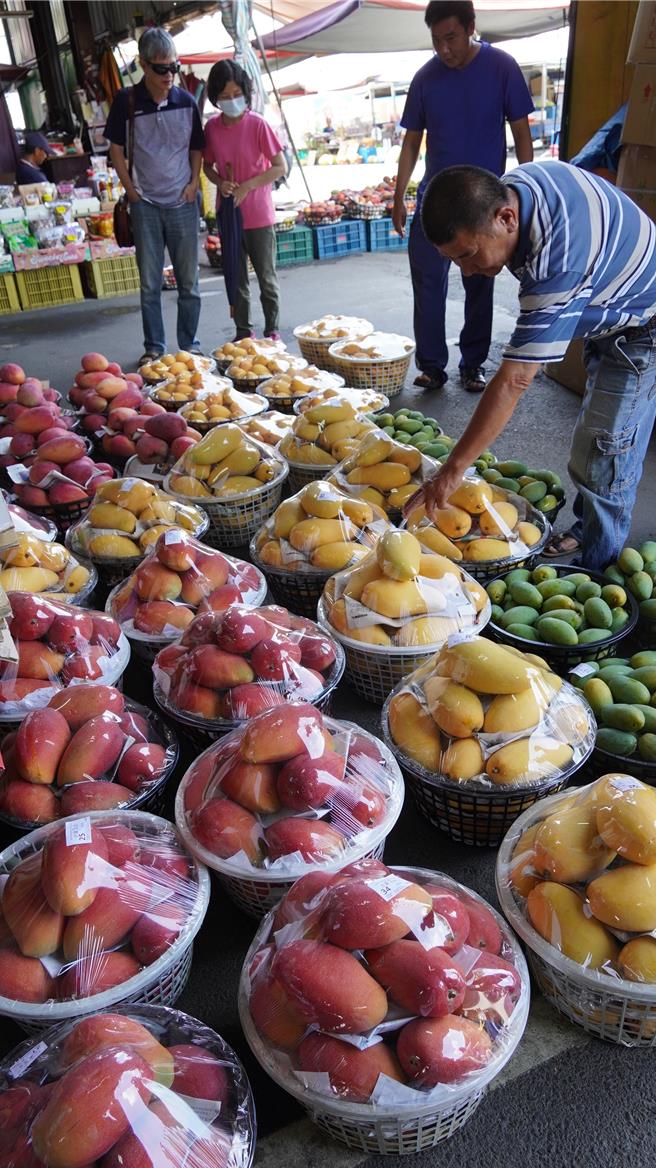 芒果进入产期，台南农产运销公司玉井场的各类芒果价格保持稳定。（宝智华摄）