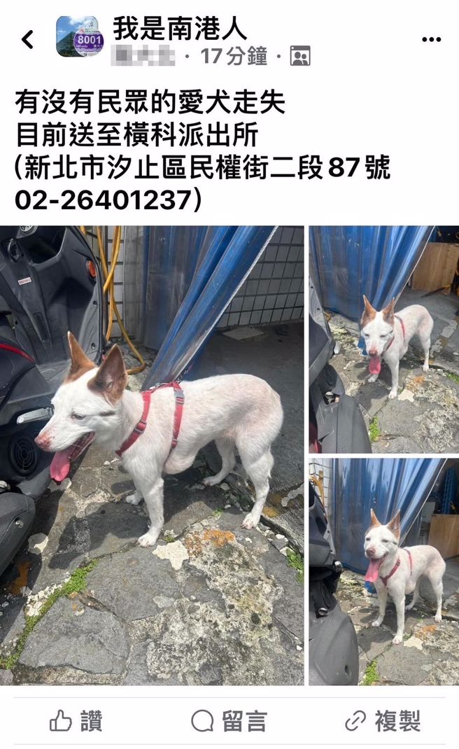 新北市汐止區一名熱心民眾在路邊發現一隻米克斯犬疑似走失。（圖／警方提供）