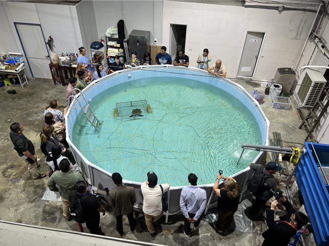 新北市海洋保育教育園區收容池。（新北市動保處提供）