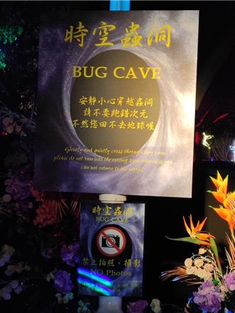 中台灣燈會拍「蟲洞」雷射傷手機 9陳情案賠3萬餘元