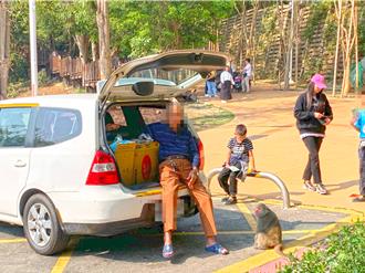 獨》壽山動物園前餵食獼猴不怕罰 老翁嗆：沒財產、歡迎檢舉