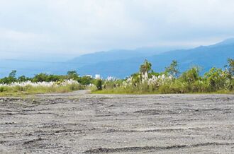 首批碳匯國有地招標 2能源商出手