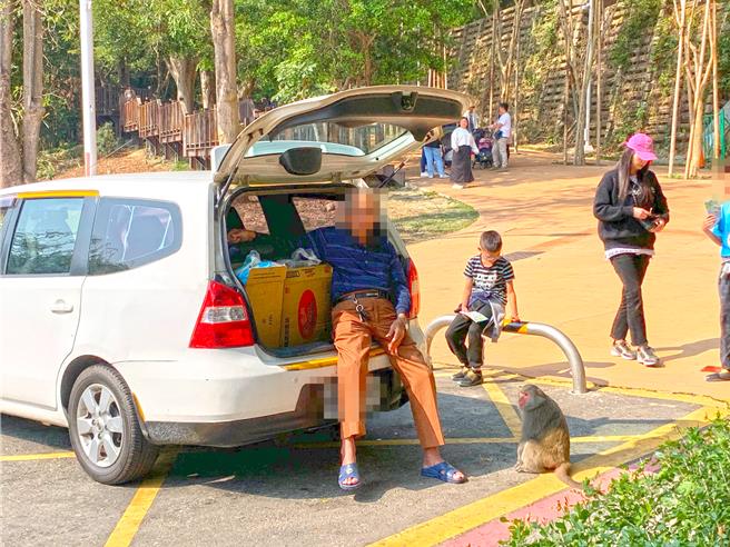 高雄一位老翁幾乎天天在動物園前上演「餵食秀」，還嗆「歡迎檢舉，沒財產不怕」。（民眾提供／袁庭堯高雄傳真）